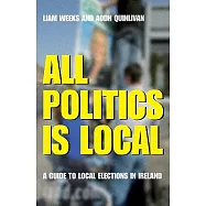 All Politics Is Local: A Guide to Local Elections in Ireland