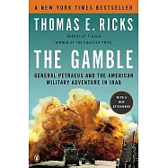 The Gamble: General Petraeus and the American Military Adventure in Iraq