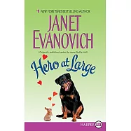 Hero at Large