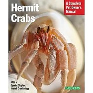 Hermit Crabs: Everything about Purchase, Care, and Nutrition