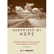 Surprised by Hope: Rethinking Heaven, the Resurrection, and the Mission of the Church: Six Sessions: Participant’s Guide