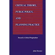 Critical Theory, Public Policy, and Planning Practice