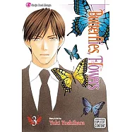 Butterflies, Flowers 3