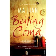 Beijing Coma