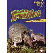Let’s Look at Armadillos