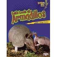 Let’s Look at Armadillos