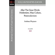 After the Great Divide: Modernism, Mass Culture, Postmodernism