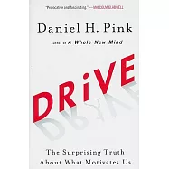 Drive: The Surprising Truth about What Motivates Us