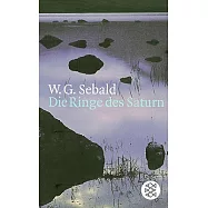 Die Ringe Des Saturn