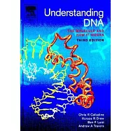Understanding DNA: The Molecule & How It Works