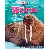 Walrus: Tusk, Tusk