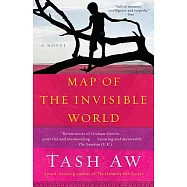 Map of the Invisible World