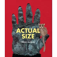 Actual Size