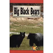 Big Black Bears