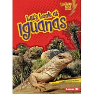 Let’s Look at Iguanas