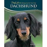 Dachshund