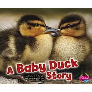 A Baby Duck Story