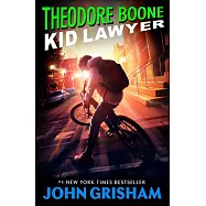 Theodore Boone, Kid Lawyer