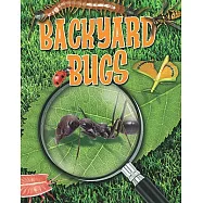 Backyard Bugs