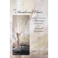 The Awakened Ones: Phenomenology of Visionary Experience