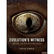 Evolution’s Witness: How Eyes Evolved