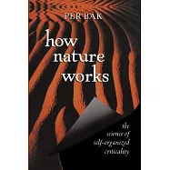 How Nature Works: The Science of Self-Organized Criticality