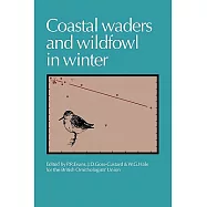 Coastal Waders and Wildfowl in Winter