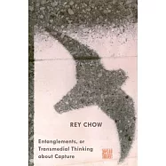 Entanglements, or Transmedial Thinking about Capture