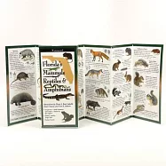 Florida&rsquo;s Mammals, Reptiles, and Amphibians: Folding Guide
