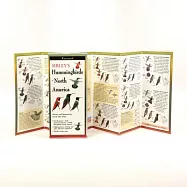 Sibley&rsquo;s Hummingbirds of North America