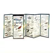 Sibley&rsquo;s Waterbirds of the Great Lakes