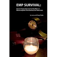 EMP Survival: : How to Prepare Now and Survive, When an Electromagnetic Pulse Destroys Our Power Grid