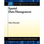 Spatial Data Management
