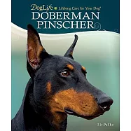 Doberman Pinscher