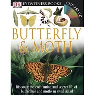 Butterfly & Moth