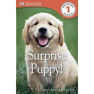 DK Readers L1: Surprise Puppy