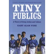 Tiny Publics: A Theory of Group Action and Culture