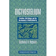Dictyostelium: Evolution, Cell Biology, and the Development of Multicellularity