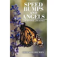 Speed Bumps and Angels: A Personal Journey