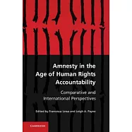 Amnesty in the Age of Human Rights Accountability: Comparative and International Perspectives