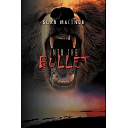 Into the Bullet