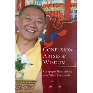 Confusion Arises As Wisdom: Gampopa&rsquo;s Heart Advice on the Path of Mahamudra