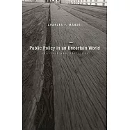 Public Policy in an Uncertain World: Analysis and Decisions