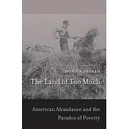 The Land of Too Much: American Abundance and the Paradox of Poverty