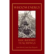 Wisdom Energy: Basic Buddhist Teachings