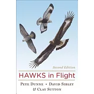 Hawks in Flight