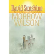 David Sunshine: A Novel of the Communications Industry