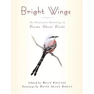 Bright Wings: An Illustrated Anthology of Poems about Birds