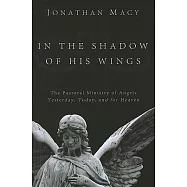 In the Shadow of His Wings: The Pastoral Ministry of Angels: Yesterday, Today, and for Heaven