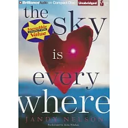 The Sky Is Everywhere